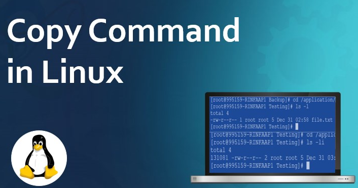 linux复制文件cp命令怎么使用？.png
