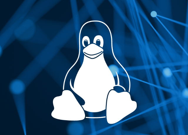 如何在Linux中确定机器是否运行在虚拟机上？.png
